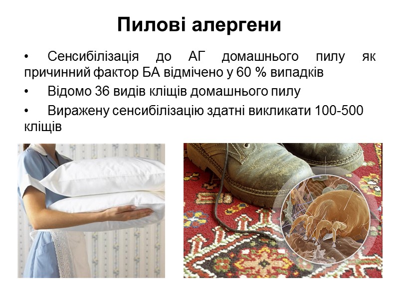 Пилові алергени  Сенсибілізація до АГ домашнього пилу як причинний фактор БА відмічено у